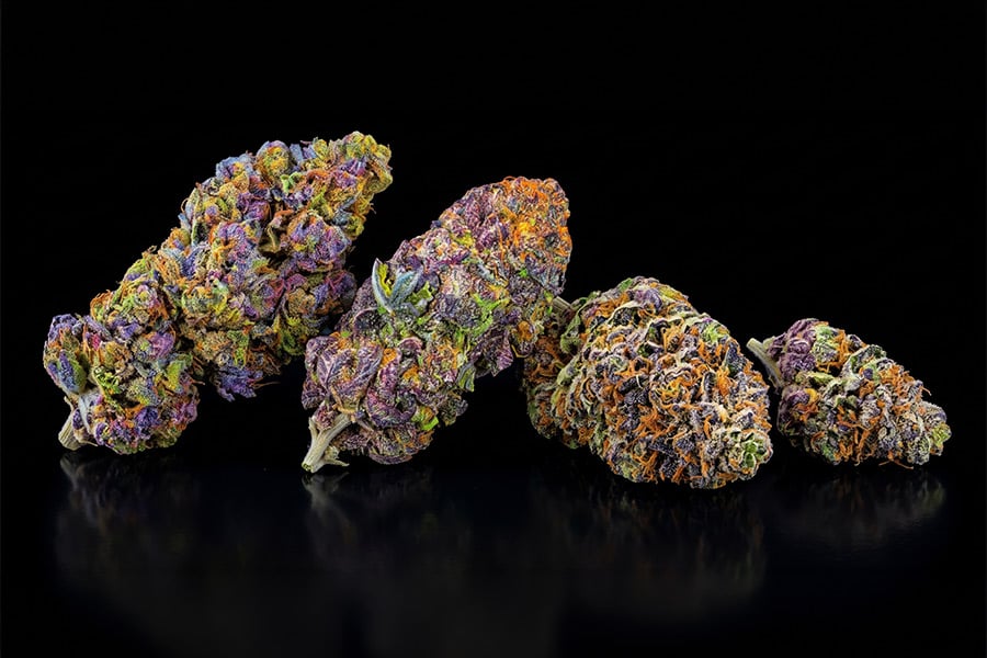 Healthy cannabis buds with a natural coating of frosty trichomes.