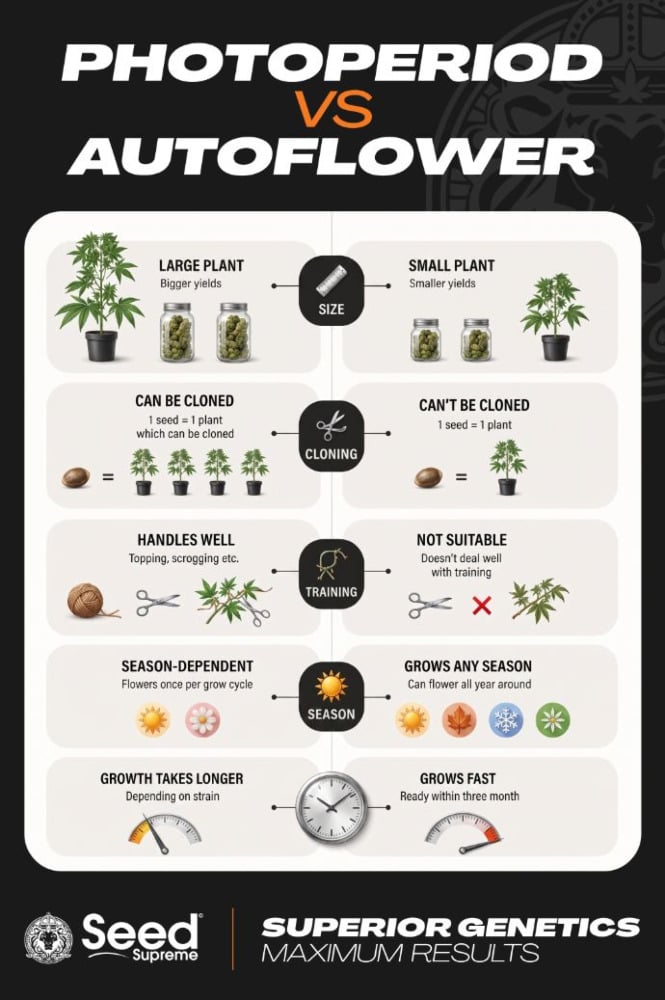 Photoperiod Vs Autoflower grow chart