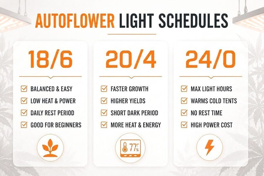 Cannabis light schedule