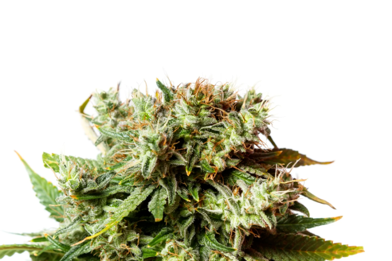 bubba kush