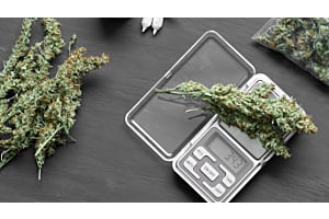Cannabis leaves on a weighing scale