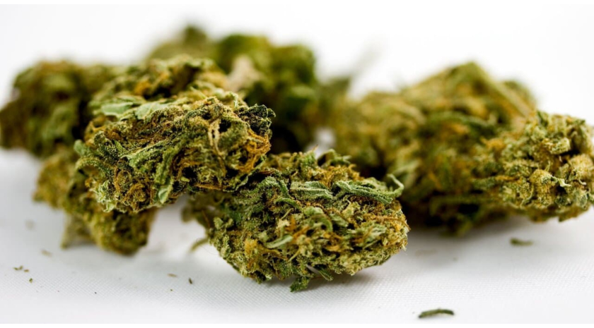 6 Cannabis Strains for Focus And ADD/ADHD