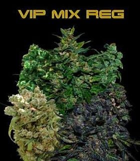 VIP Mix Regular