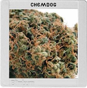 blimburn chemdawg chemdog