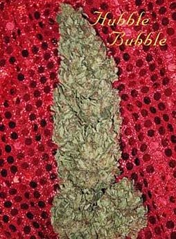 mandala hubble bubble