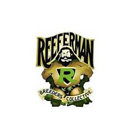 Reeferman Seeds Phnom Penh Regular