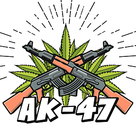 AK-47 Autoflower