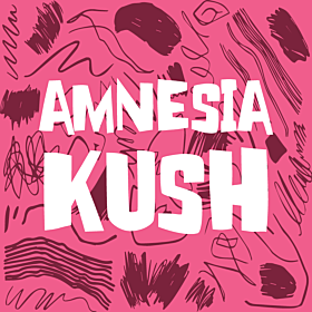 Amnesia Kush Autoflower