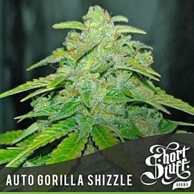 Short Stuff Auto Gorilla Shizzle Fem 