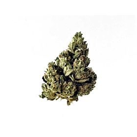 Amsterdam Genetics Auto Choco Kush Fem