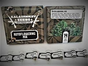 Kalashnikov Seeds Autoflowering Mix Fem