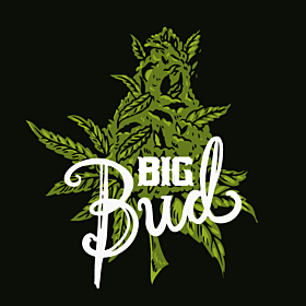 Big Bud Fast 