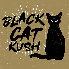 Black Cat Kush Feminized Cannabis