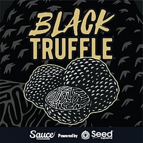 Black Truffle Feminized - Sauce