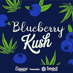 Blueberry Kush Feminized - Sauce