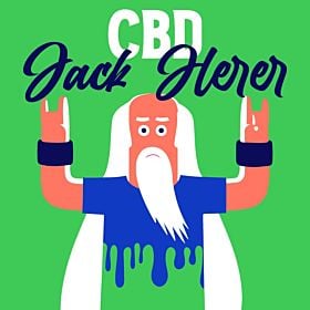 CBD Jack Herer Feminized
