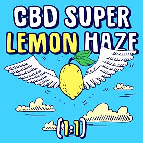 CBD Super Lemon Haze (1:1) Feminized