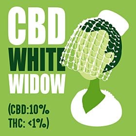 CBD White Widow (CBD:10% THC: 