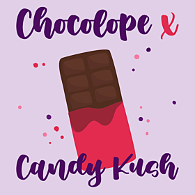 Chocolope x Candy Kush Feminized