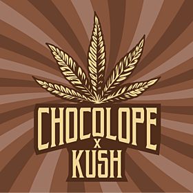 Chocolope x Kush Feminized
