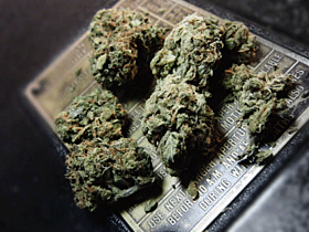 chronic fem