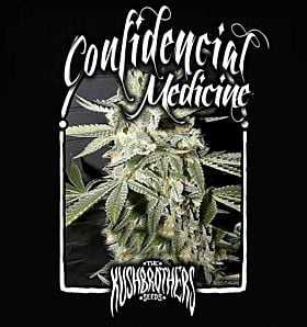 Kush Brothers Confidential Medicine Fem 