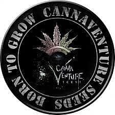 Cannaventure Seeds Girl Scout Cookies Mix Regular 