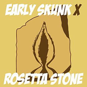 Skunk x Rosetta Stone Fast Version