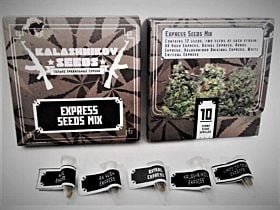 Kalashnikov Seeds Express Mix Fem