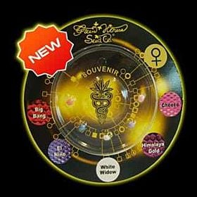 Green House Company Indica Mix E Feminised