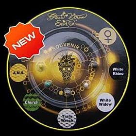 Green House Company Indica Mix G Feminised