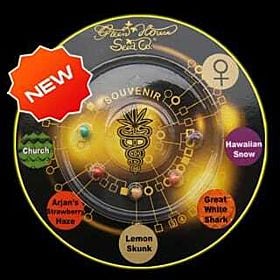 Green House Company Sativa Indica Mix A Feminised