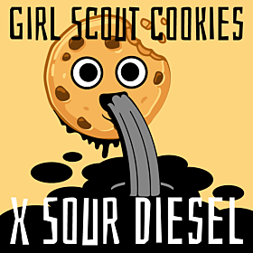 Girl Scout Cookies x Sour Diesel