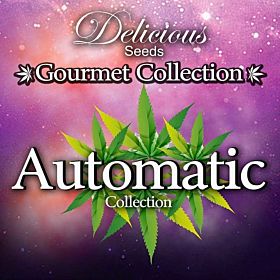 delicious gourmet auto