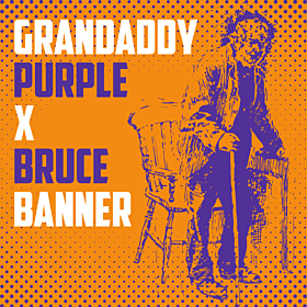 Grandaddy Purple x Bruce Banner Feminized