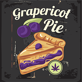 Grapericot Pie Feminized