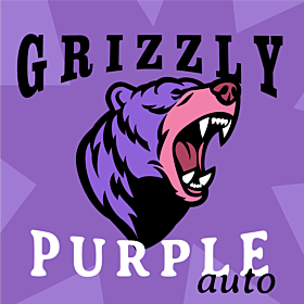 grizzly purple autoflower seeds