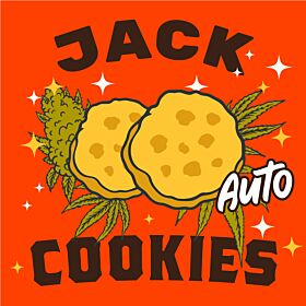 Jack Cookies Autoflower