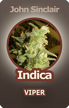 John Sinclair Viper Cannabis