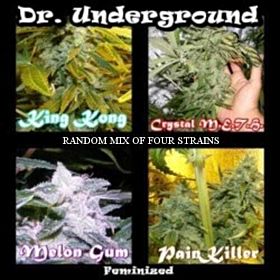 Dr Underground Killer Mix 8