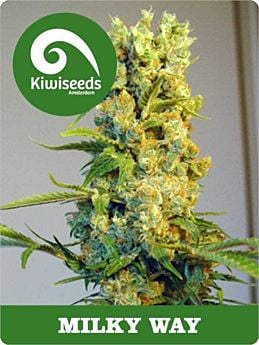 kiwi seeds milky way