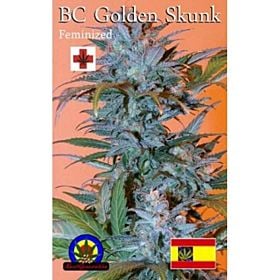 next generation golden skunk