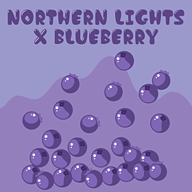 Northern Lights x Blueberry 