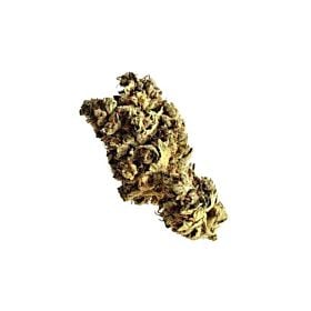 Amsterdam Genetics Pineapple Kush Fem