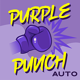 purple punch autoflower seeds