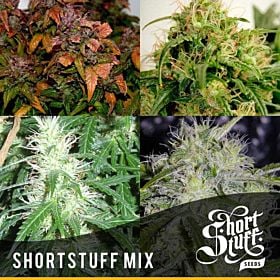 short stuff mix