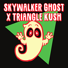 Skywalker Ghost x Triangle Kush Feminized
