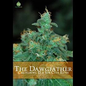 Alphakronik Genes Seedbank The Dawgfather Regular