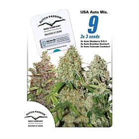Dutch Passion USA Autoflower Mix