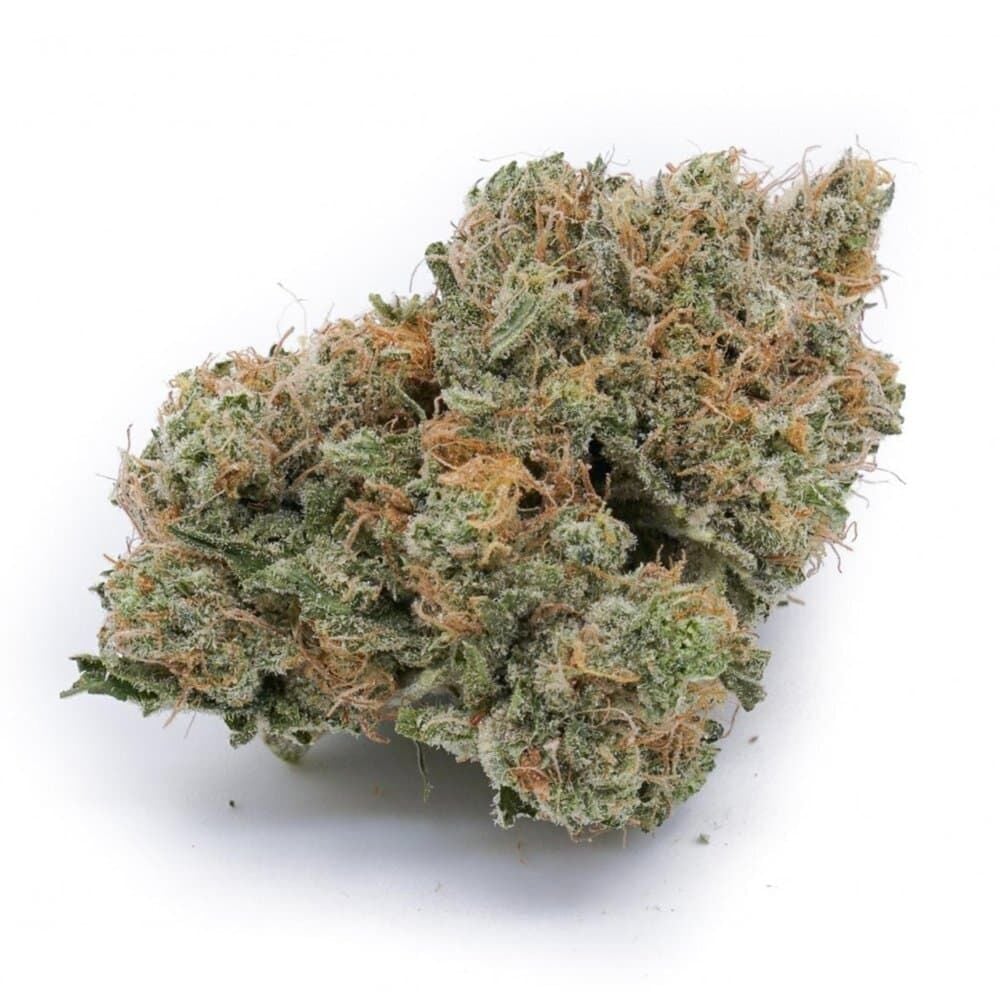 Buy Alien OG Feminized Strain by SeedSupreme | SeedSupreme